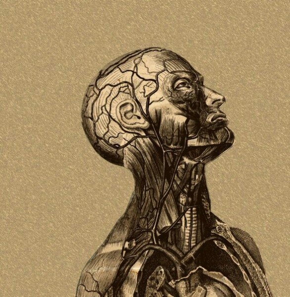 Несколько упражнений для мозга — очень...