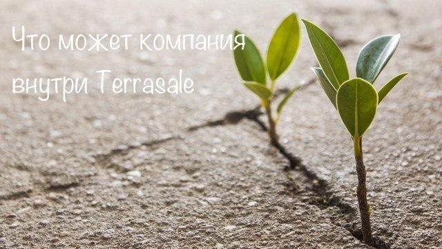 Что может компания внутри...