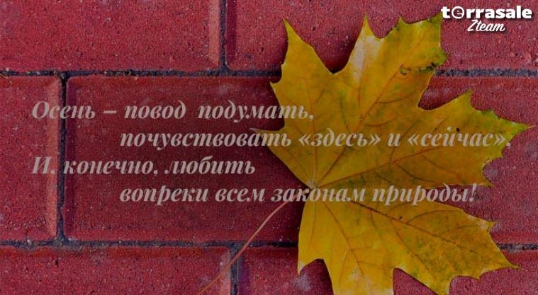 Моя осень с Terrasale\\n\\nПрозрачных...