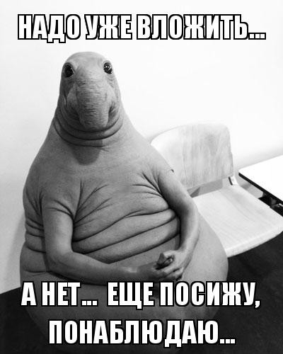 Terrasale!!!\\nРегистрируйся...