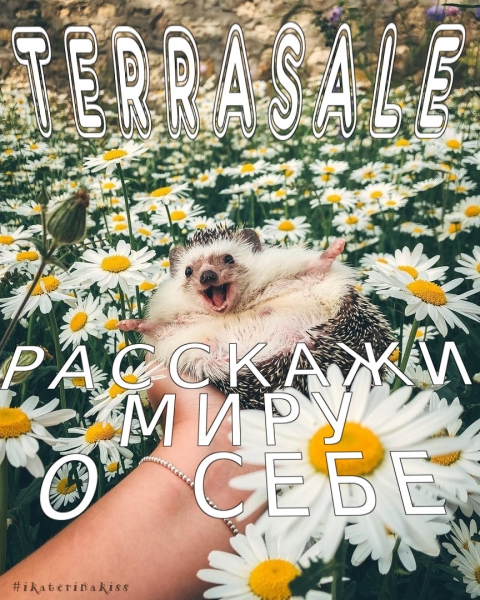 Приветствую тебя, Дорогой Друг!!!\\nТы...