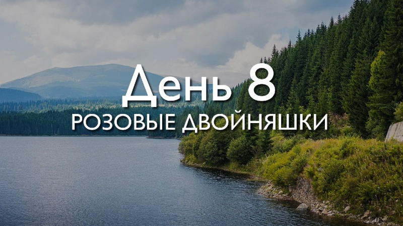 День 8. Розовые...