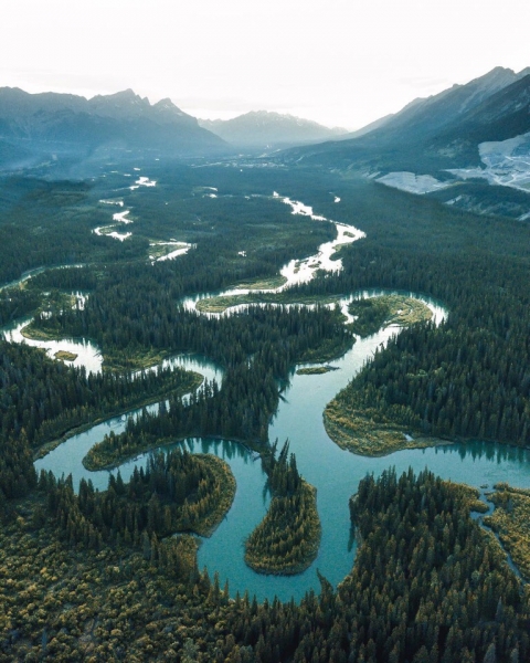 Необходимо выработать привычку выбирать...