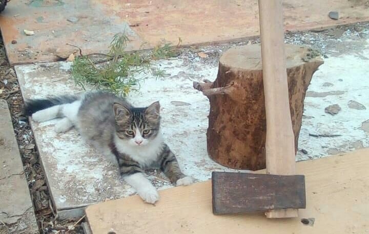 ГОТОВЬ ДРОВА ЛЕТОМ....\\n\\nСегодня у...