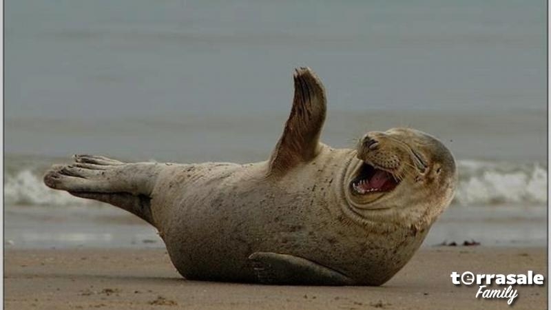 Вчера спросил себя раз пять,\\nНе...