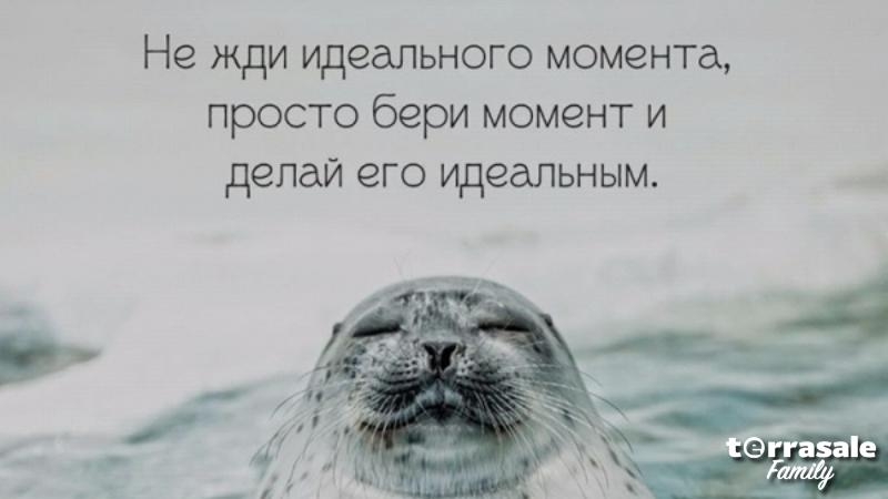 Азбука Победителя по жизни\\n\\n3...