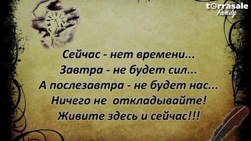 У Тебя мозги в голове, ноги в обуви,...