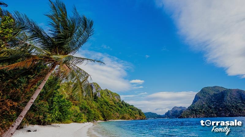 Солянка идей для Победителей\\n\\n17...