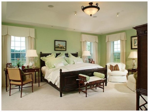 Разнообразие вкусов мяты.\\n\\nЦвет...