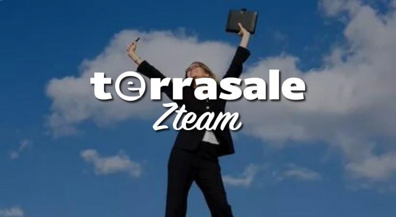 Я стала партнёром terrasale три месяца...