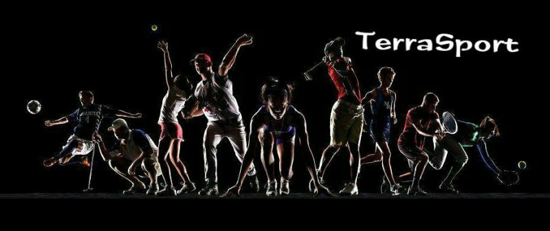 Спорт представляет собой специфический...