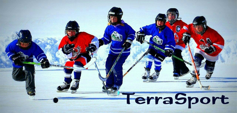 Золотая шайба\\nЗолота́я ша́йба —...