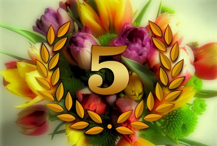 Вступление. Стратегия...