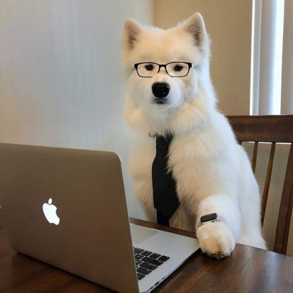 Листай дальше, мне работать нужно.