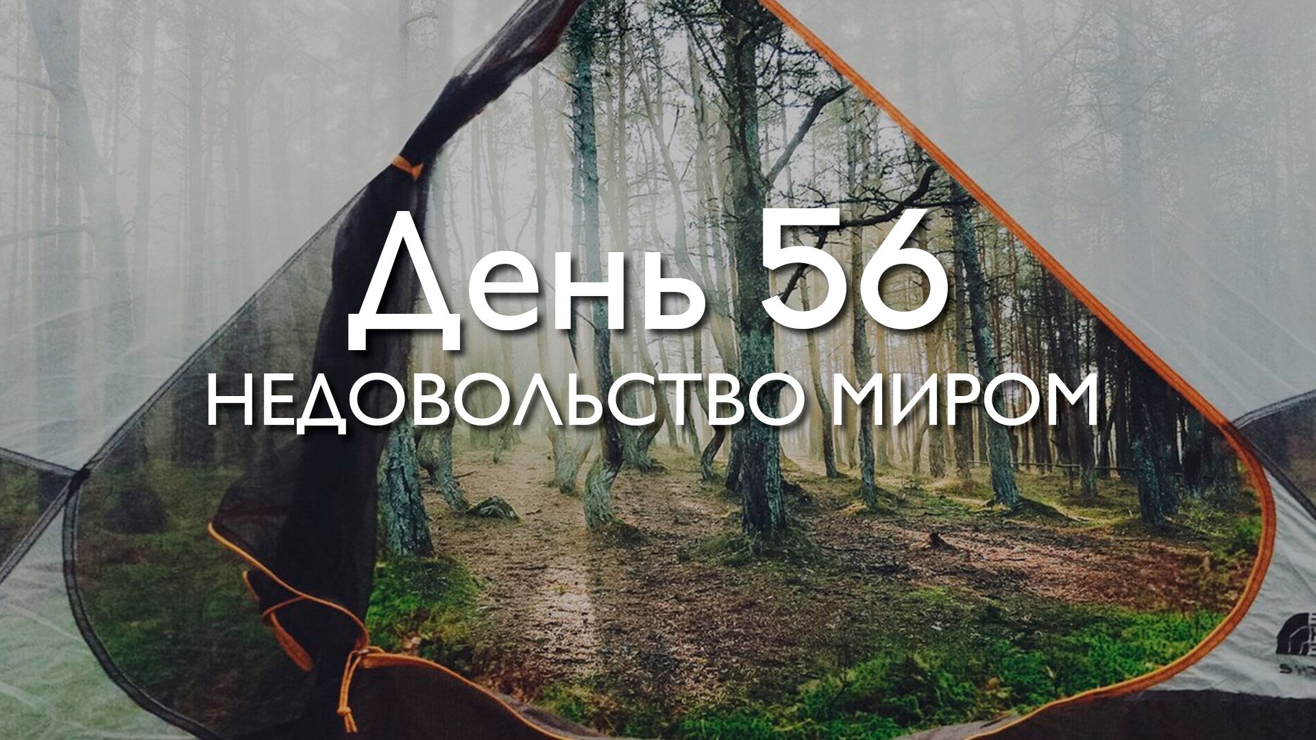 56 суток. Недоволен миром.