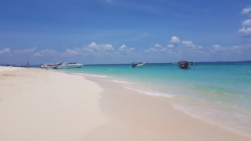 Почему я в Terrasale?\\n\\nМаленькая...