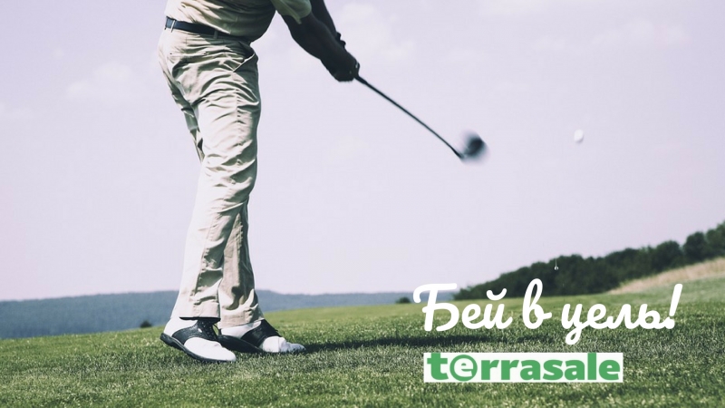 Дневник бизнеса в Terrasale. День...