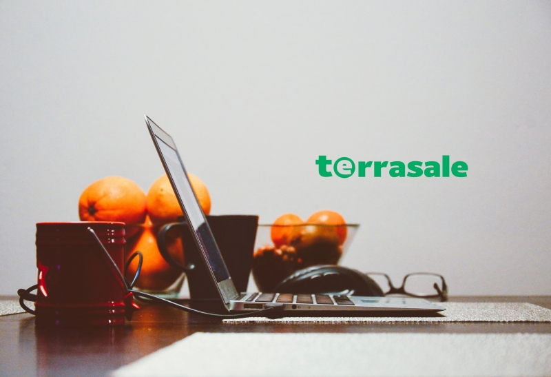 Дневник бизнеса в Terrasale. День...
