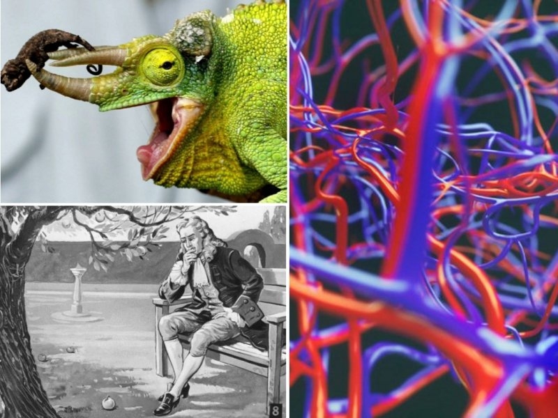 9 мифов, которые упорно повторяют...