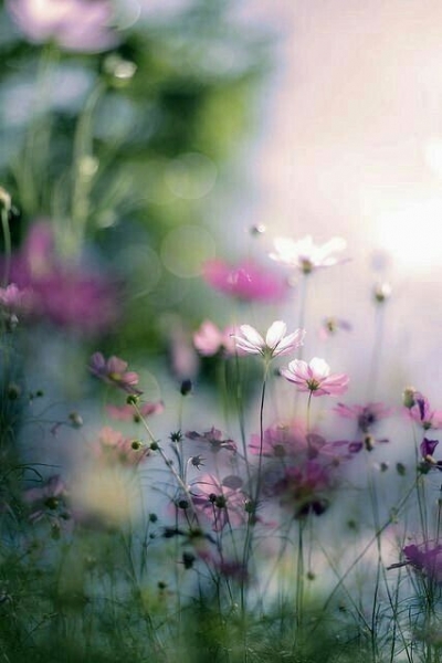 Вчитываясь в цитаты из...