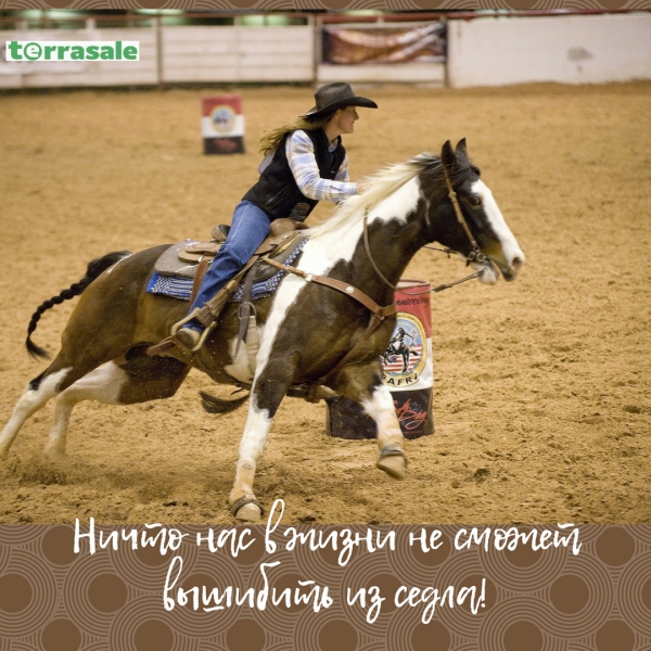 День №26 в бизнес-сети Террасейл.\\nВ...