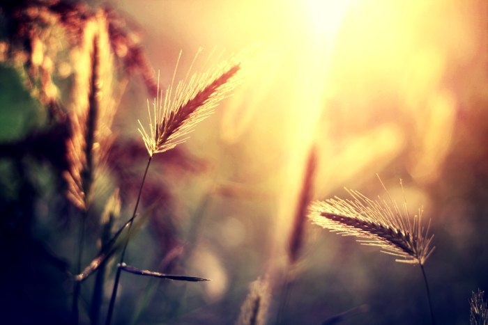 В любой проблеме зашифрованы ключи к ее...