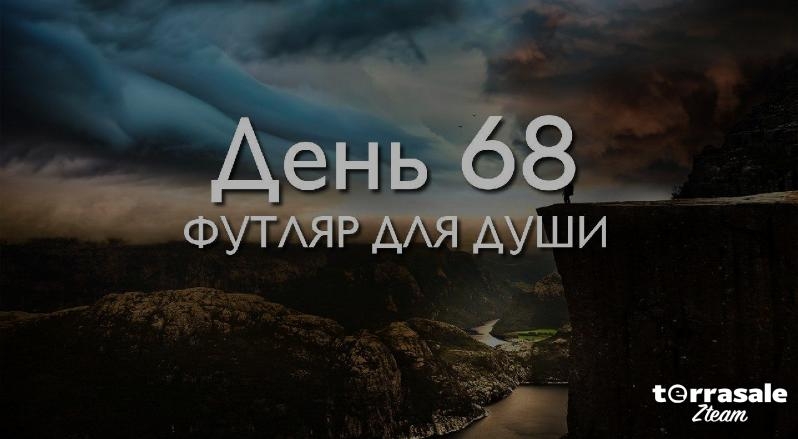 День 68. Футляр для души...