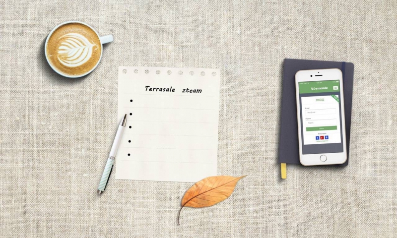⭐️ ⭐️ ⭐️ Презентация Terrasale...