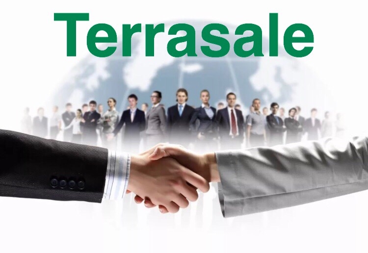 В чем отличие партнерства в Terrasale...