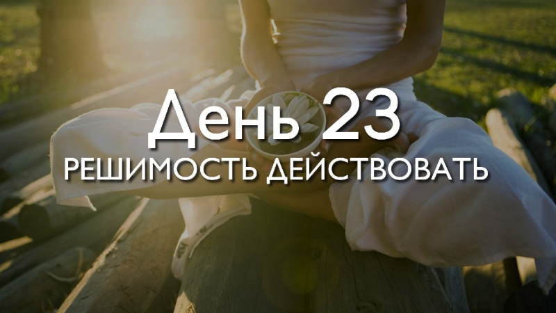 День 23. Решимость...