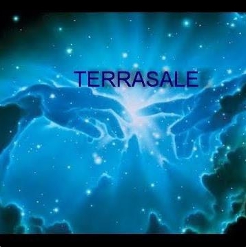 В чем отличие партнерства в Terrasale,...