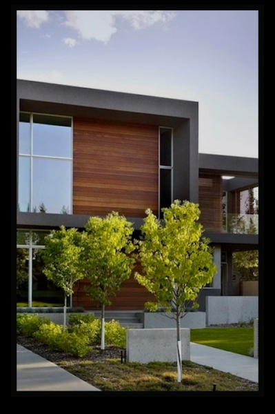 Tirus - революционная быстрорастущая...