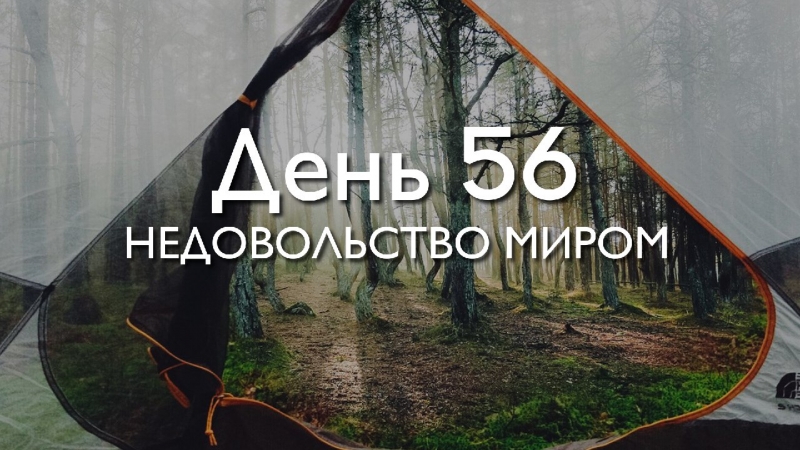  Трансформация 78\\n\\nДень 56....