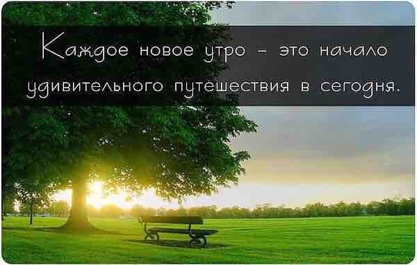 Доброе утро!!\\n\\nTerrasale -...