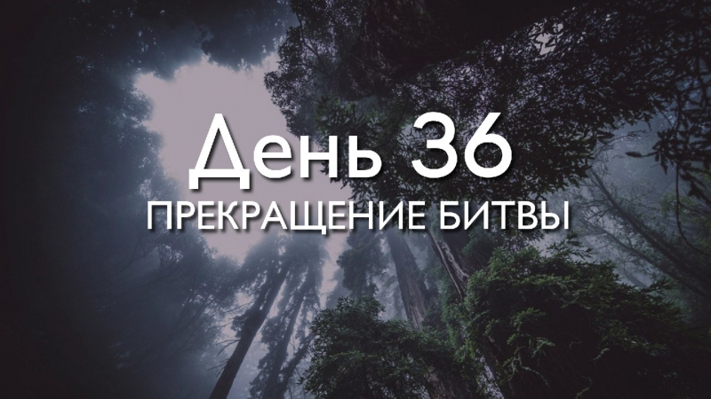 День 36. Прекращение...