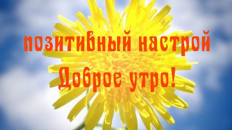 Доброе утро!!\\n\\nTerrasale -...
