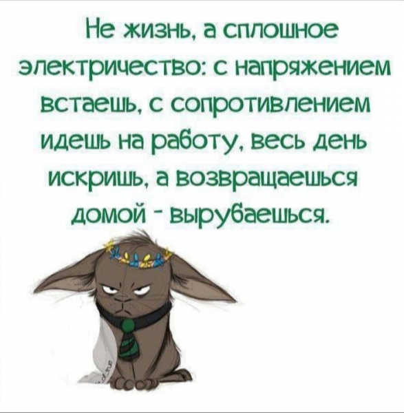 Похоже на твою жизнь? Тогда тебе к нам...