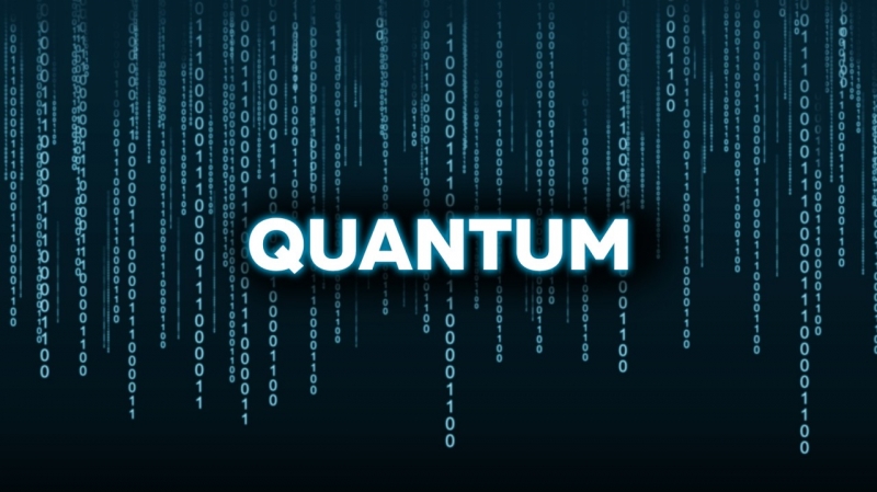 Используя соц.сеть Terrasale, с...