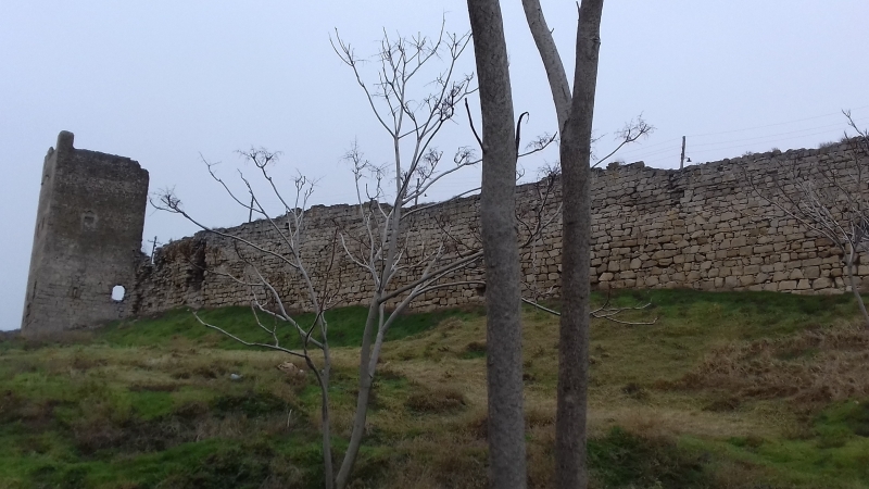 МОЗГ СЕТЕВИКА.(продолжение....