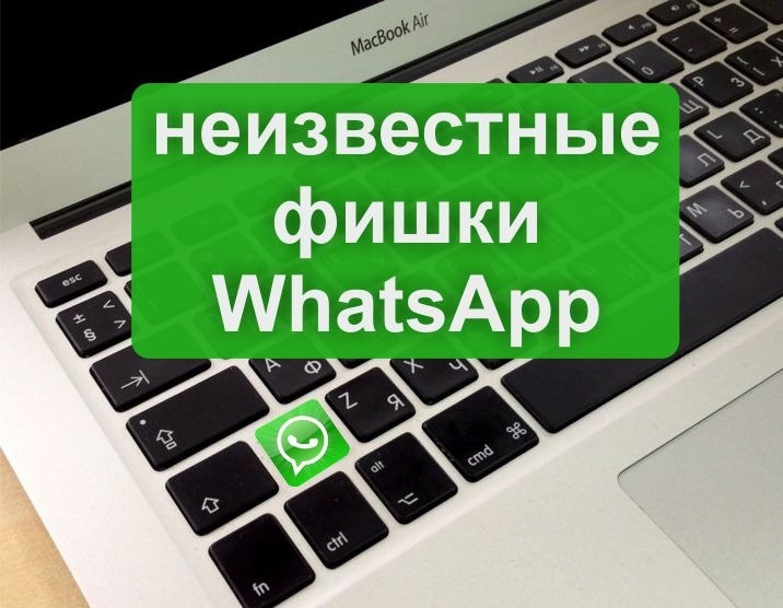 Несмотря на то что 80% владельцев...