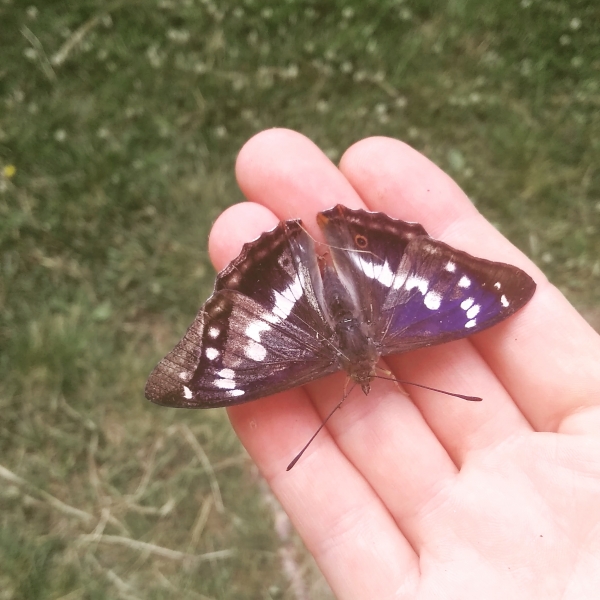 "Я ПРОТИВ РОДОВЫХ...