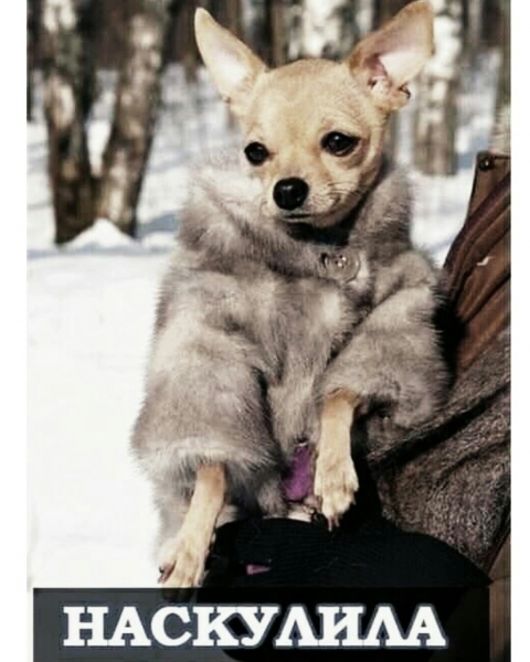 Вот парадокс.\\nБЫВАЕТ ВСТРЕЧАЮ ЖЕНЩИН,...