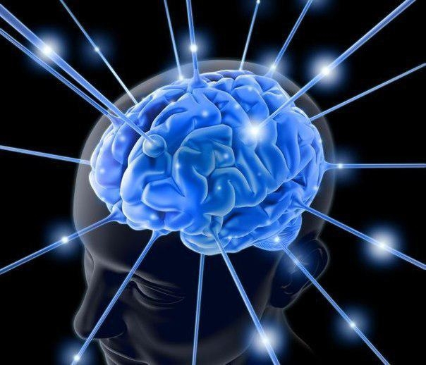 Что полезно для нашего мозга?\\n\\n1....