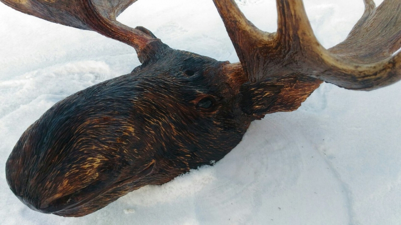 Голова лося из дерева. Ручная работа