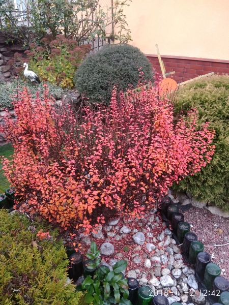 ✨НАМ ЧАСТО ПРЕДЛАГАЮТ??!!\\n.\\n?Нам...