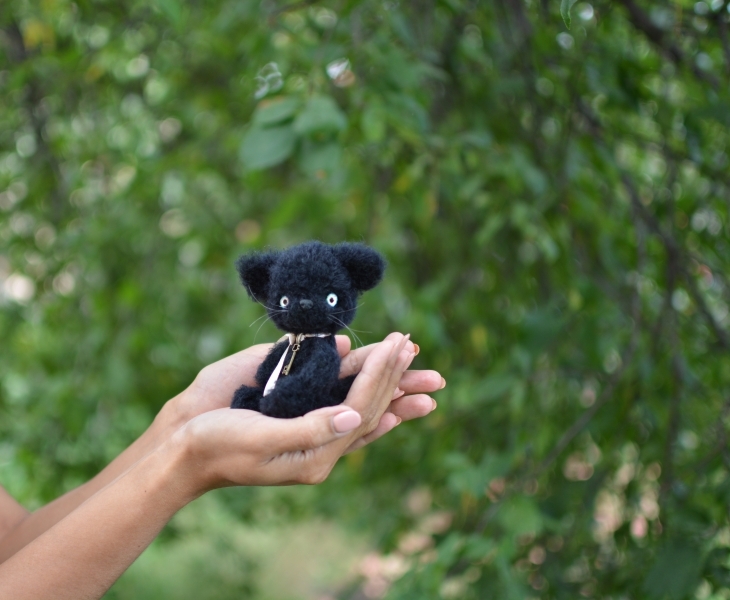 А вы любите домашних животных?...