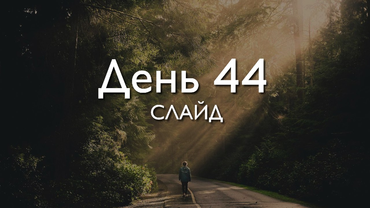 Осталось 40. П днем 44.