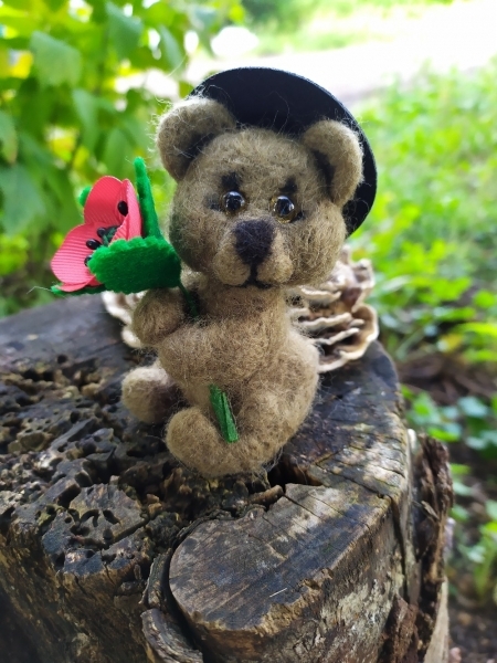 Мишка Веня, свален методом сухого...