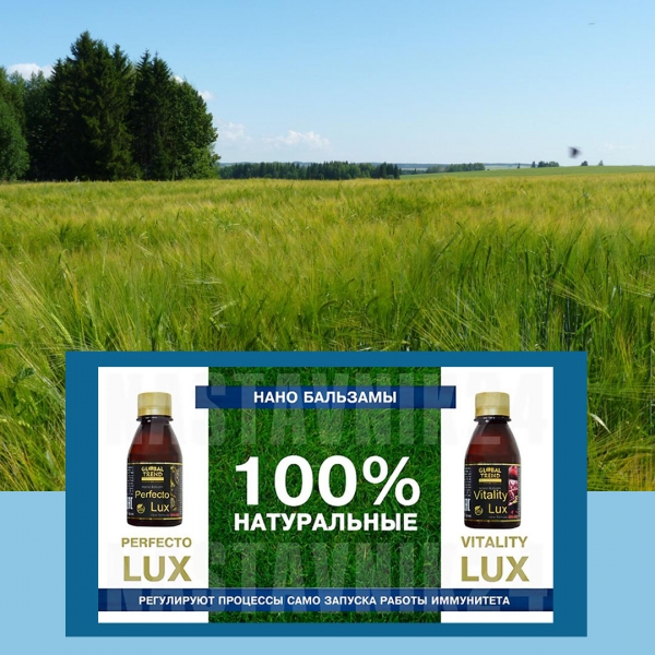 Мы сидели с мужем на кухне\\nИ...