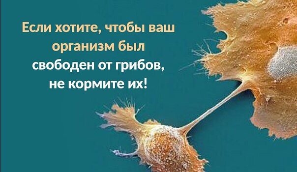 Если хотите, чтобы ваш организм был...